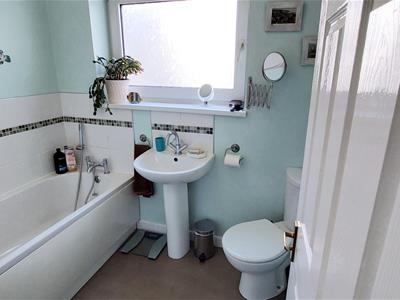 Picture 21